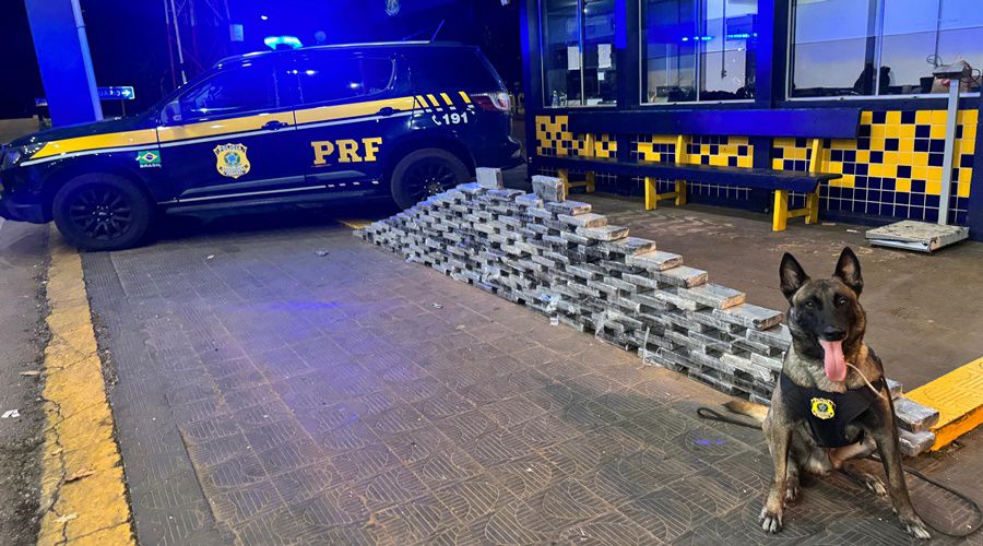 PRF Apreende 176kg de Cocaína